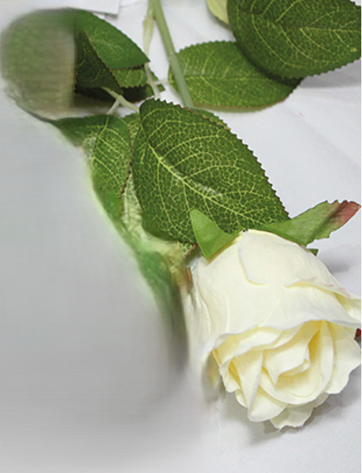 EDELROSE H44 CM  HVID