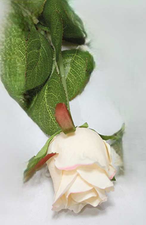 EDELROSE H44 CM  LYS ROSA