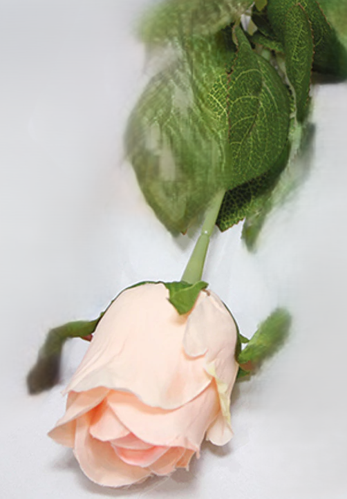 EDELROSE H44 CM  ROSA