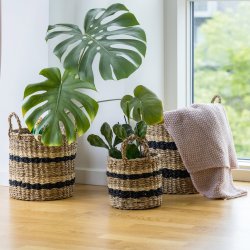 KURVE I S�GR�S MED STRIBER � 3 STK