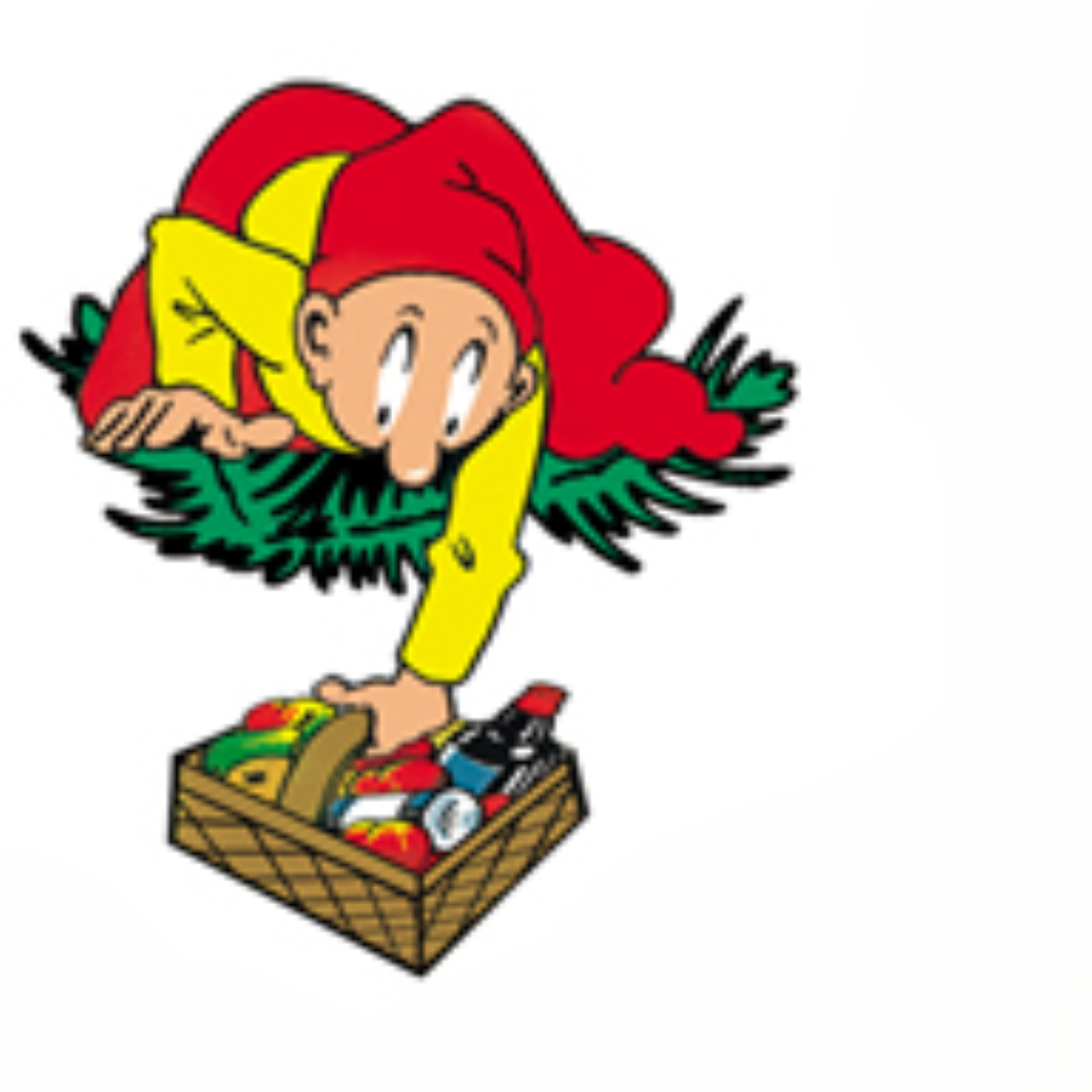 BRAMMING TR NISSE MED FRUGTKURV  40 CM