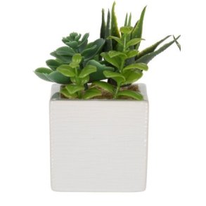 KUNSTIGE PLANTER I POTTE H15 CM NR 1  HVID
