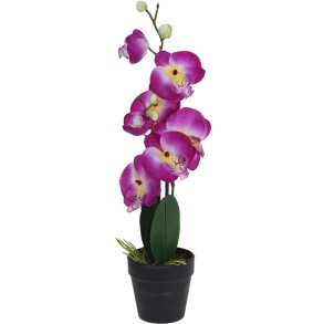 ORKIDE I POTTE H47 CM  LILLA-GUL 