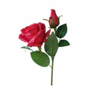 ROSE 40 CM � R�D