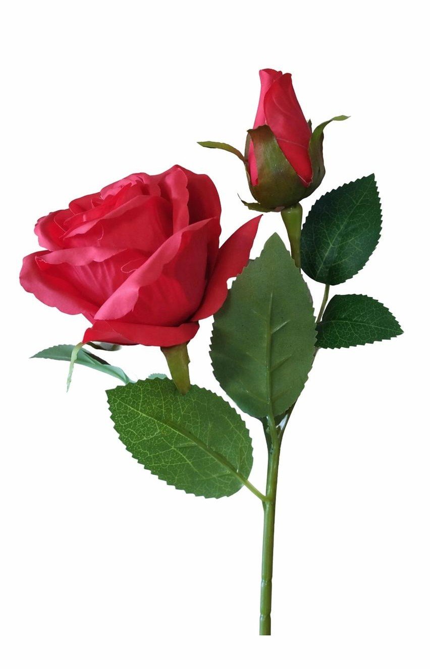ROSE 40 CM � R�D
