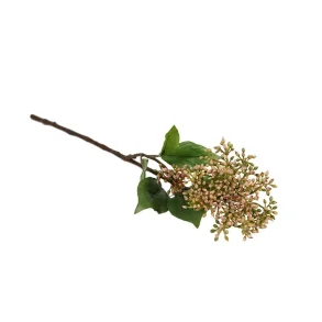 CORNUS CIBIL ROSE STILK H52 CM  PINK