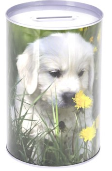 SPAREDSE 10 X 15 CM  GOLDEN RETRIEVER 