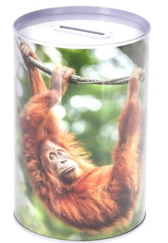 SPAREDSE 10 X 15 CM  ORANGUTANG 