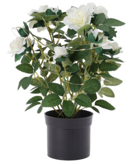 ROSENBLOMST MED 20 STK MICRO LED LYS  HVID