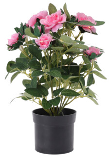 ROSENBLOMST MED 20 STK MICRO LED LYS  PINK