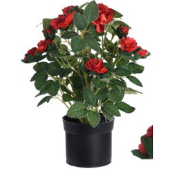 ROSENBLOMST MED 20 STK MICRO LED LYS  RD