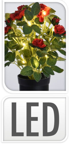 ROSENBLOMST MED 20 STK MICRO LED LYS  RD