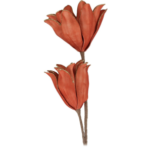PROTEA GREEN H87 CM  RUSTFARVET