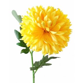 KRYSANTEMUM 40 CM � GUL