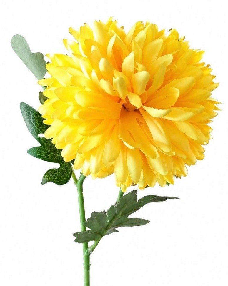 KRYSANTEMUM 40 CM � GUL