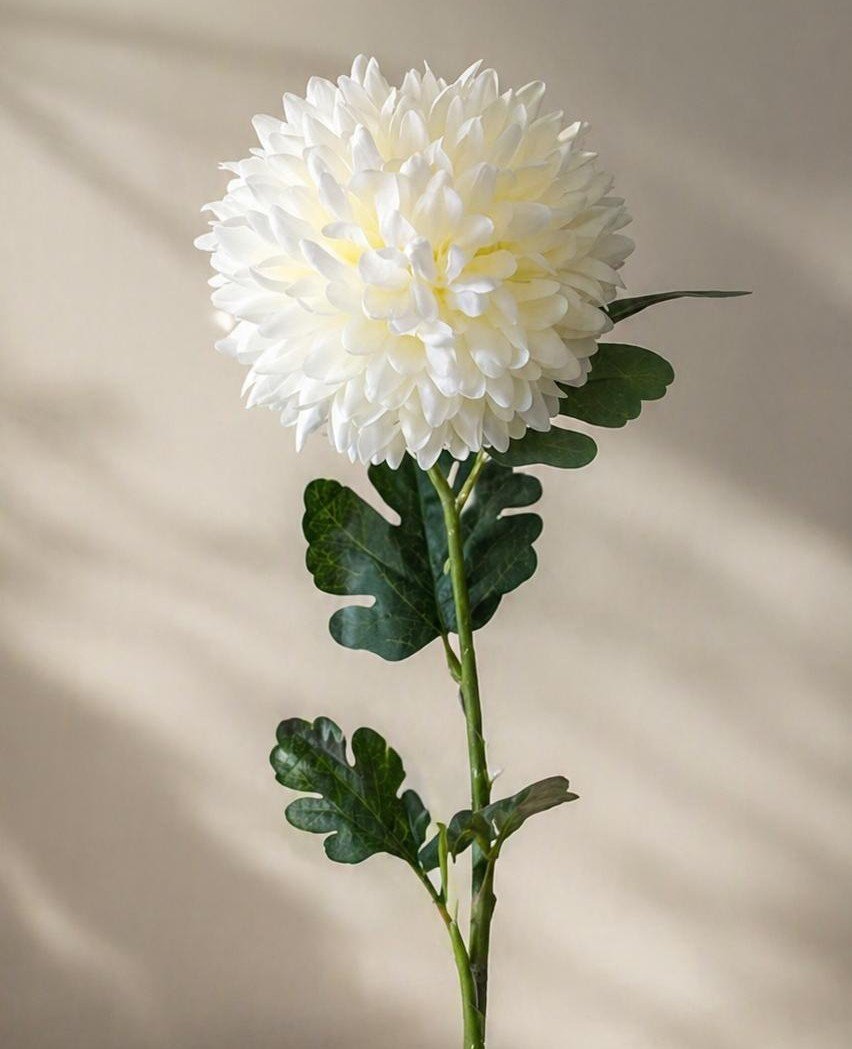 KRYSANTEMUM 40 CM � HVID