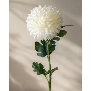 KRYSANTEMUM 40 CM � HVID