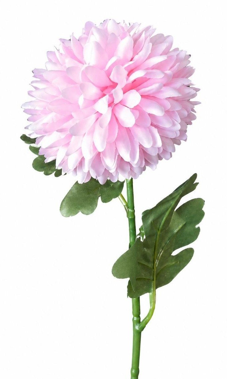 KRYSANTEMUM 40 CM � LYSER�D