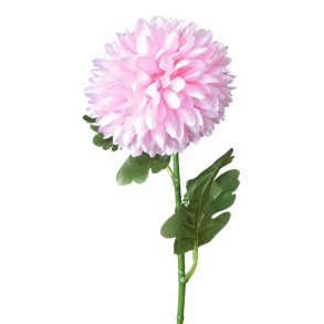 KRYSANTEMUM 40 CM � LYSER�D