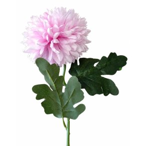 KRYSANTEMUM 40 CM � LYSLILLA